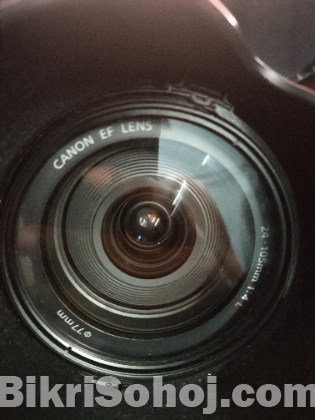 Canon EF 24-105 non is lens